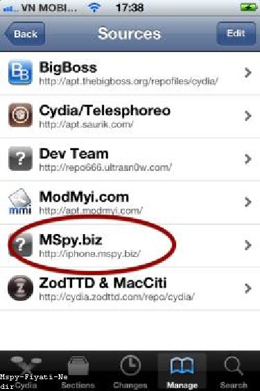 Google Play Store Mspy