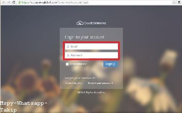 Mspy Login