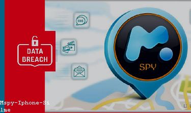 Mspy Whatsapp Nasıl Kullanılır