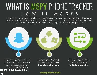 Support Mspy Com