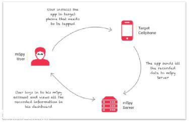 Mspy Kanuni Kullanımı