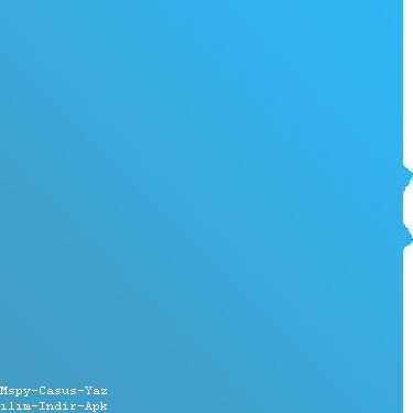 Mspy Kullanıcı Yorumları